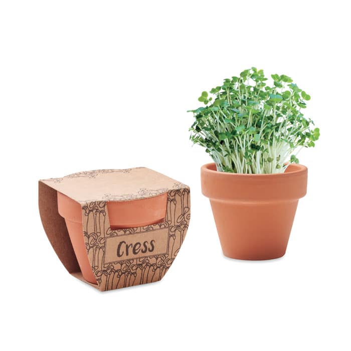 CRESS POT – Terracotta pot cress seeds