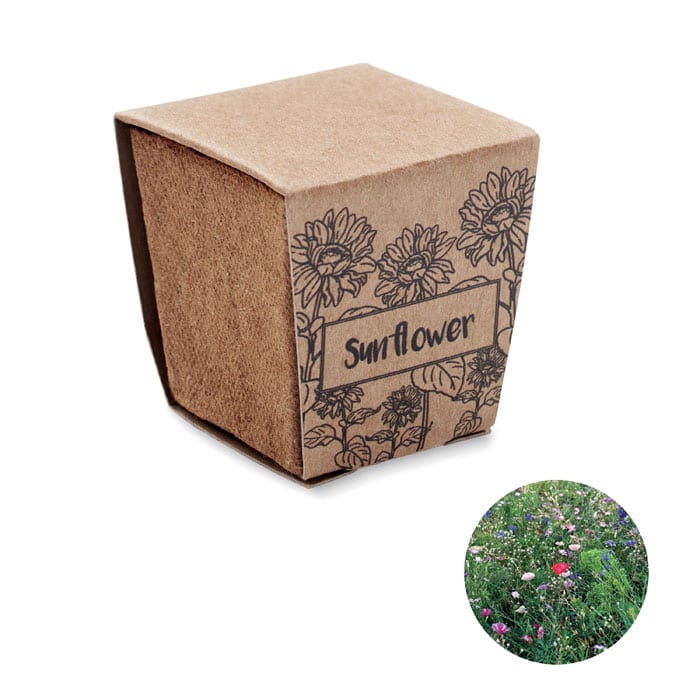 SUNFLOWER KIT – Sunflower growing kit