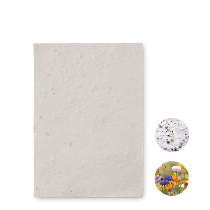 ASIDO – A6 wildflower seed paper sheet